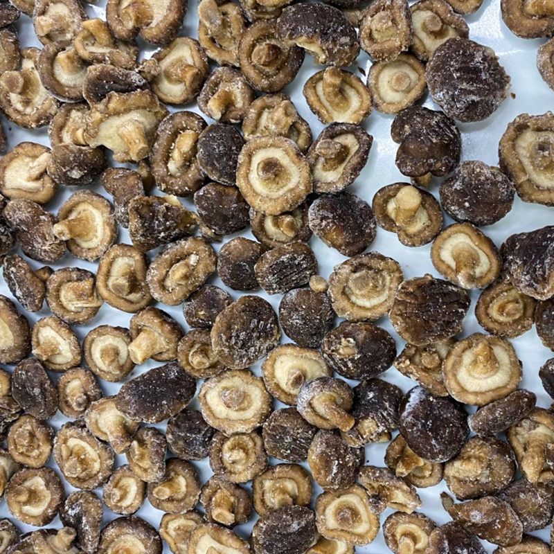 Funghi stagionati IQF