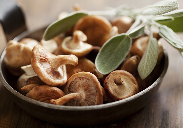 Tecnologia di lavorazione dei funghi shiitake IQF